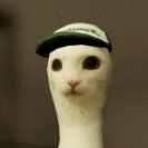 reincarnation